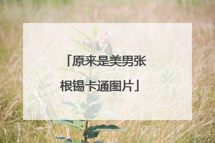 原来是美男张根锡卡通图片