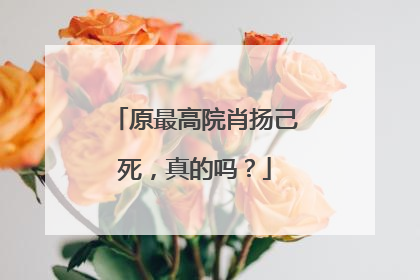 原最高院肖扬己死,真的吗?
