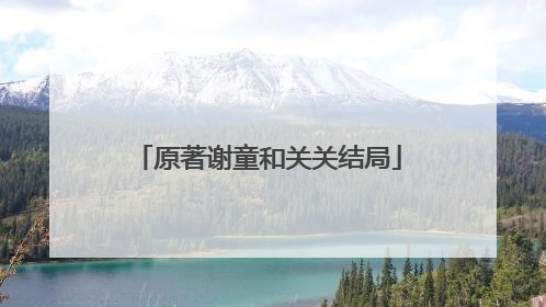 原著谢童和关关结局