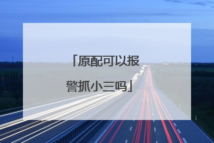 原配可以报警抓小三吗