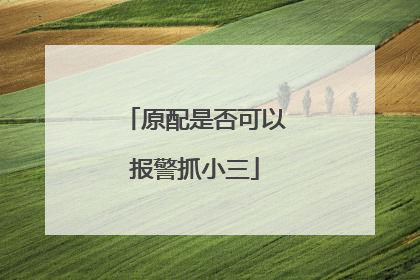 原配是否可以报警抓小三