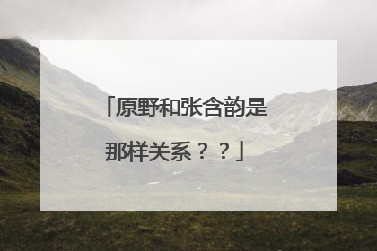 原野和张含韵是那样关系??