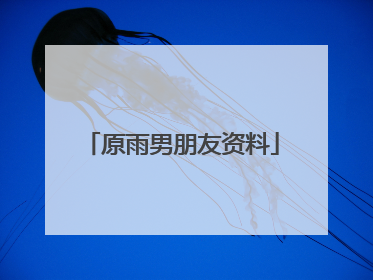 原雨男朋友资料