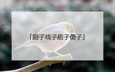 厨子戏子痞子傻子