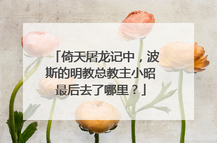 倚天屠龙记中,波斯的明教总教主小昭最后去了哪里?