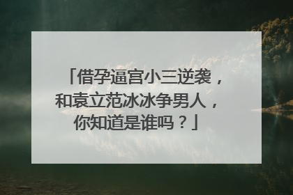 借孕逼宫小三逆袭，和袁立范冰冰争男人，你知道是谁吗？