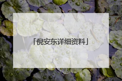 倪安东详细资料