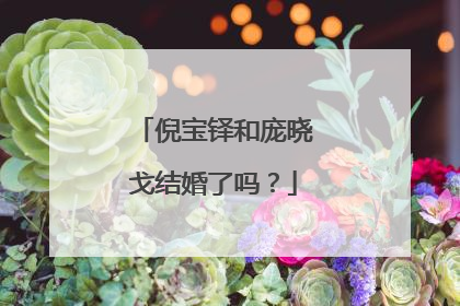 倪宝铎和庞晓戈结婚了吗？
