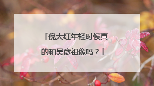 倪大红年轻时候真的和吴彦祖像吗?