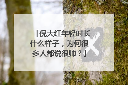 倪大红年轻时长什么样子，为何很多人都说很帅？