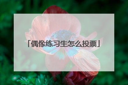 偶像练习生怎么投票