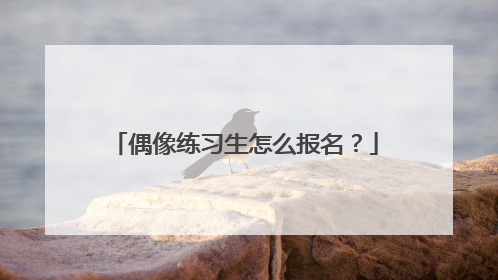 偶像练习生怎么报名？