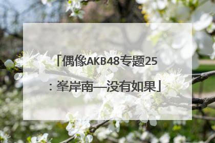 偶像AKB48专题25：峯岸南——没有如果