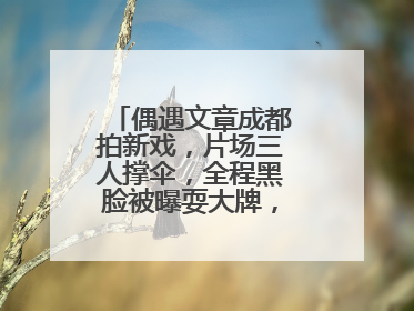 偶遇文章成都拍新戏，片场三人撑伞，全程黑脸被曝耍大牌，你怎么看？