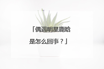 偶遇明星鹿晗是怎么回事?