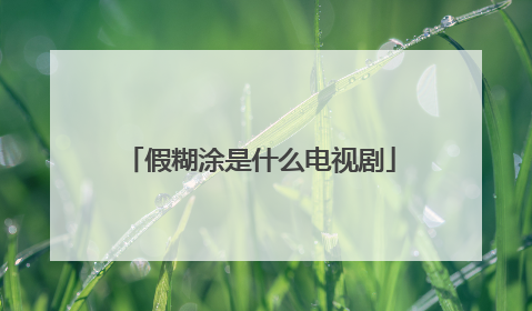 假糊涂是什么电视剧