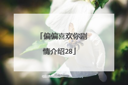 偏偏喜欢你剧情介绍28