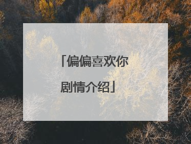 偏偏喜欢你剧情介绍