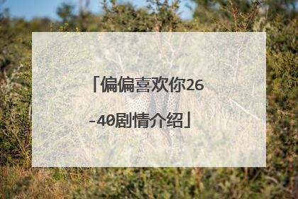 偏偏喜欢你26-40剧情介绍