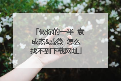 做你的一半 袁成杰&戚薇 怎么找不到下载网址