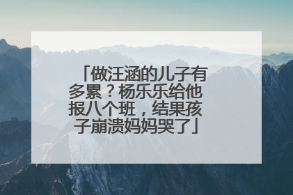 做汪涵的儿子有多累?杨乐乐给他报八个班,结果孩子崩溃妈妈哭了