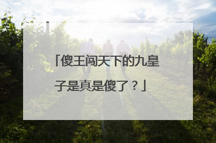 傻王闯天下的九皇子是真是傻了?