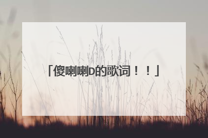 傻喇喇D的歌词！！