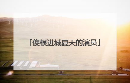 傻根进城夏天的演员