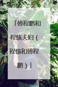 傅程鹏和程愫夫妇(程愫和傅程鹏)