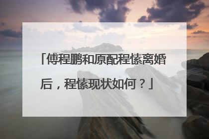傅程鹏和原配程愫离婚后,程愫现状如何?
