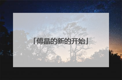 傅晶的新的开始