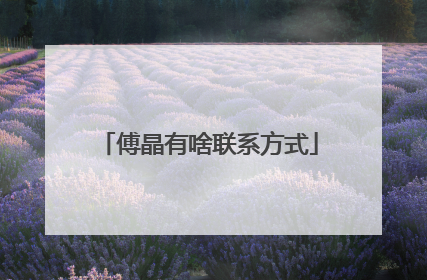 傅晶有啥联系方式