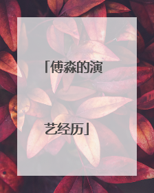 傅淼的演艺经历