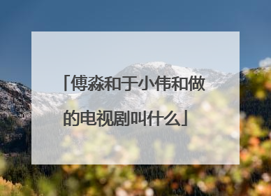傅淼和于小伟和做的电视剧叫什么