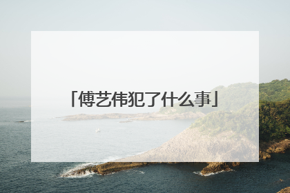 傅艺伟犯了什么事