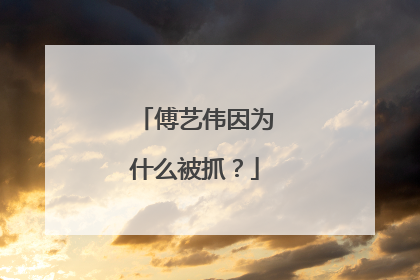 傅艺伟因为什么被抓?