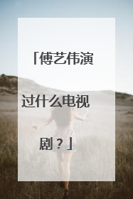 傅艺伟演过什么电视剧？