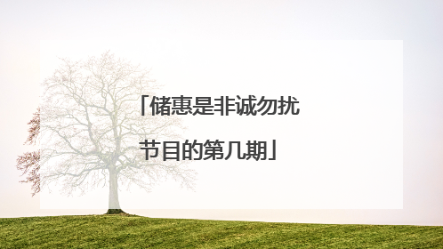 储惠是非诚勿扰节目的第几期