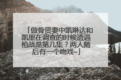 傲骨贤妻中凯琳达和凯里在调查的时候遭遇枪战是第几集？两人随后有一个吻戏~