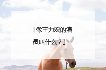 像王力宏的演员叫什么？