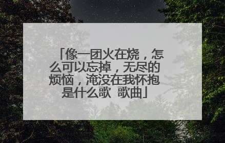 像一团火在烧，怎么可以忘掉，无尽的烦恼，淹没在我怀抱是什么歌 歌曲