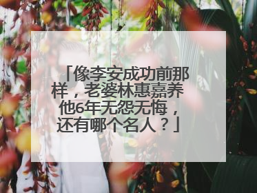 像李安成功前那样，老婆林惠嘉养他6年无怨无悔，还有哪个名人？