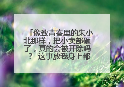像致青春里的朱小北那样,把小卖部砸了,真的会被开除吗? 这事放我身上都砸十回了...