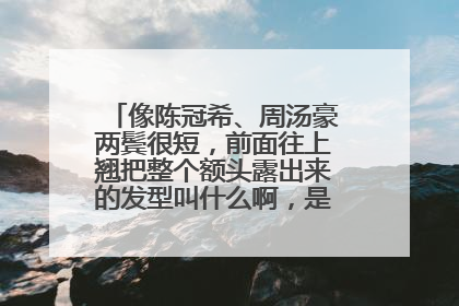 像陈冠希、周汤豪两鬓很短,前面往上翘把整个额头露出来的发型叫什么啊,是发根定型烫吗?