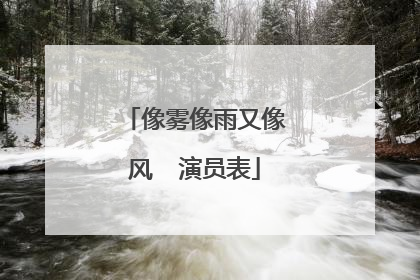 像雾像雨又像风  演员表