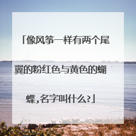 像风筝一样有两个尾翼的粉红色与黄色的蝴蝶,名字叫什么?