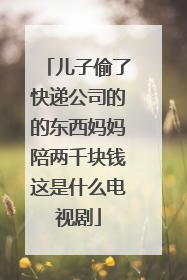 儿子偷了快递公司的的东西妈妈陪两千块钱这是什么电视剧