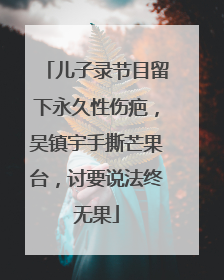 儿子录节目留下永久性伤疤，吴镇宇手撕芒果台，讨要说法终无果