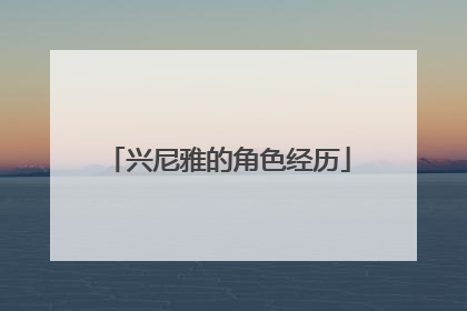 兴尼雅的角色经历