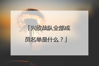 兴欣战队全部成员名单是什么?